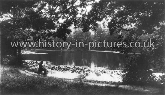 The Lake, Highams Park, Chingford, London. c.1910.